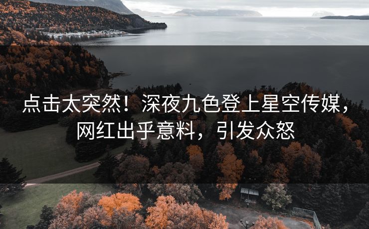 点击太突然！深夜九色登上星空传媒，网红出乎意料，引发众怒