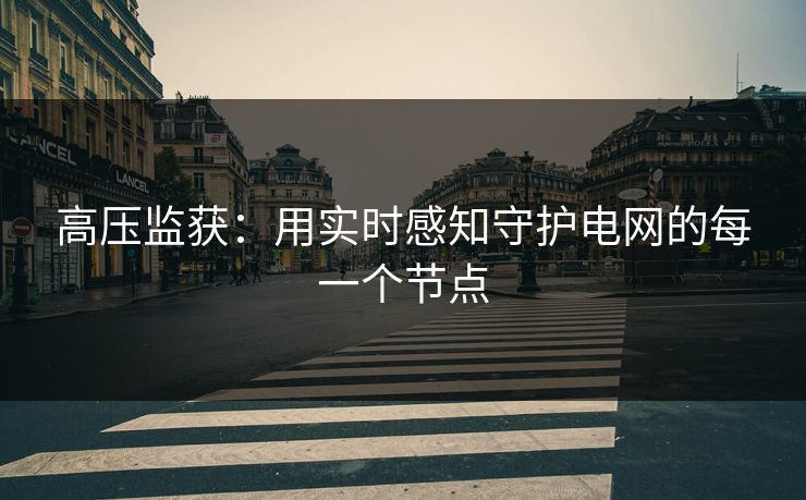 高压监获:用实时感知守护电网的每一个节点 高压监获:用实时感知守护电网的每一个节点