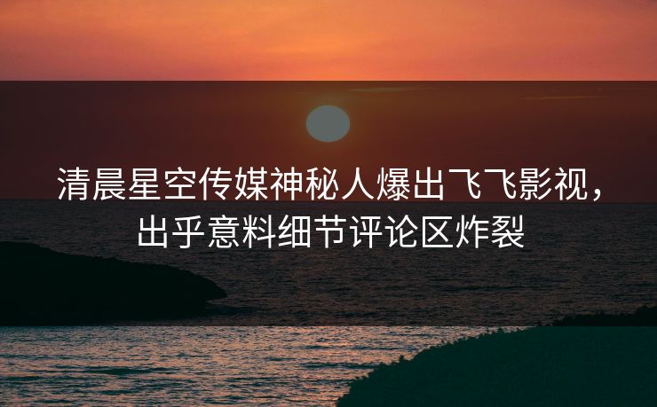 清晨星空传媒神秘人爆出飞飞影视，出乎意料细节评论区炸裂