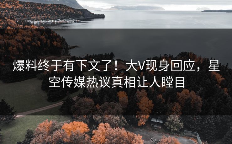 爆料终于有下文了！大V现身回应，星空传媒热议真相让人瞠目