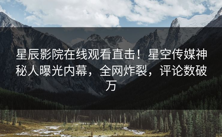 星辰影院在线观看直击！星空传媒神秘人曝光内幕，全网炸裂，评论数破万