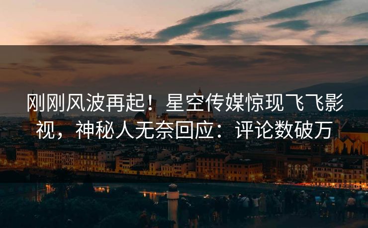 刚刚风波再起！星空传媒惊现飞飞影视，神秘人无奈回应：评论数破万