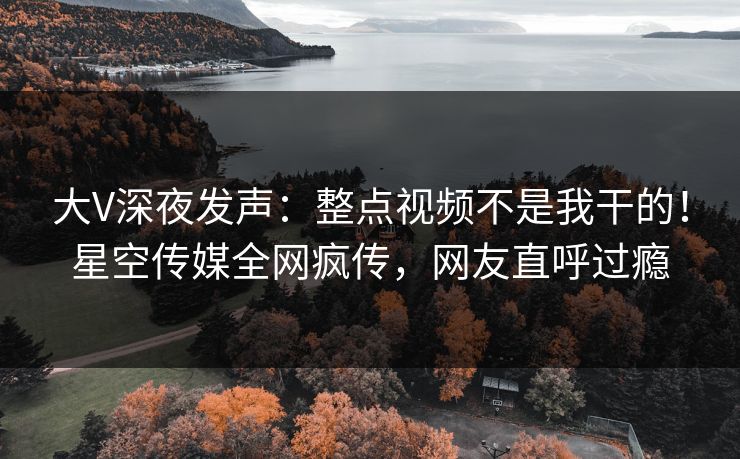 大V深夜发声：整点视频不是我干的！星空传媒全网疯传，网友直呼过瘾