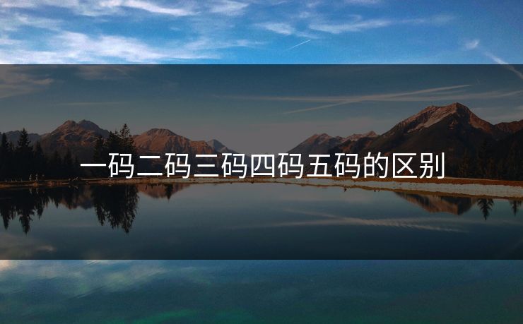 一码二码三码四码五码的区别